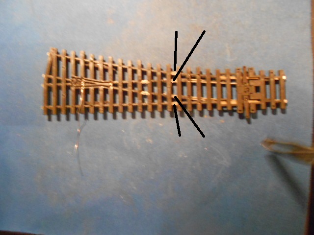 DSCN1595.JPG